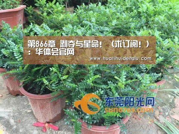 华体会登录
